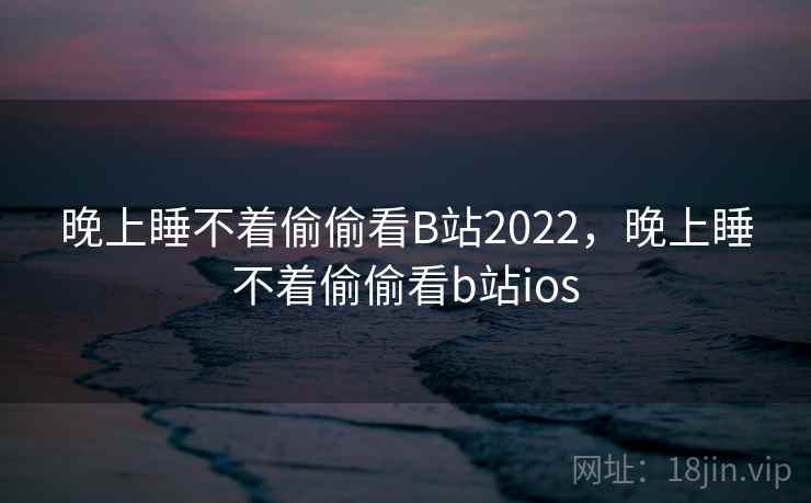 晚上睡不着偷偷看B站2022,晚上睡不着偷偷看b站ios 第2张 晚上睡不着偷偷看B站2022,晚上睡不着偷偷看b站ios 第2张